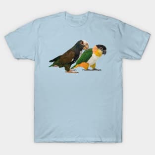 Caique and parrot T-Shirt